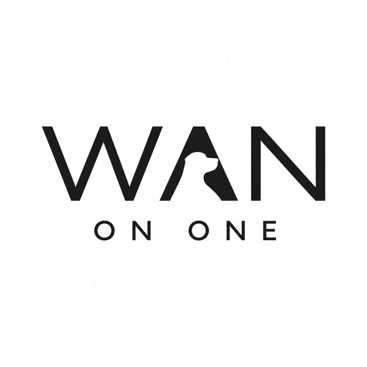 Wan On One
